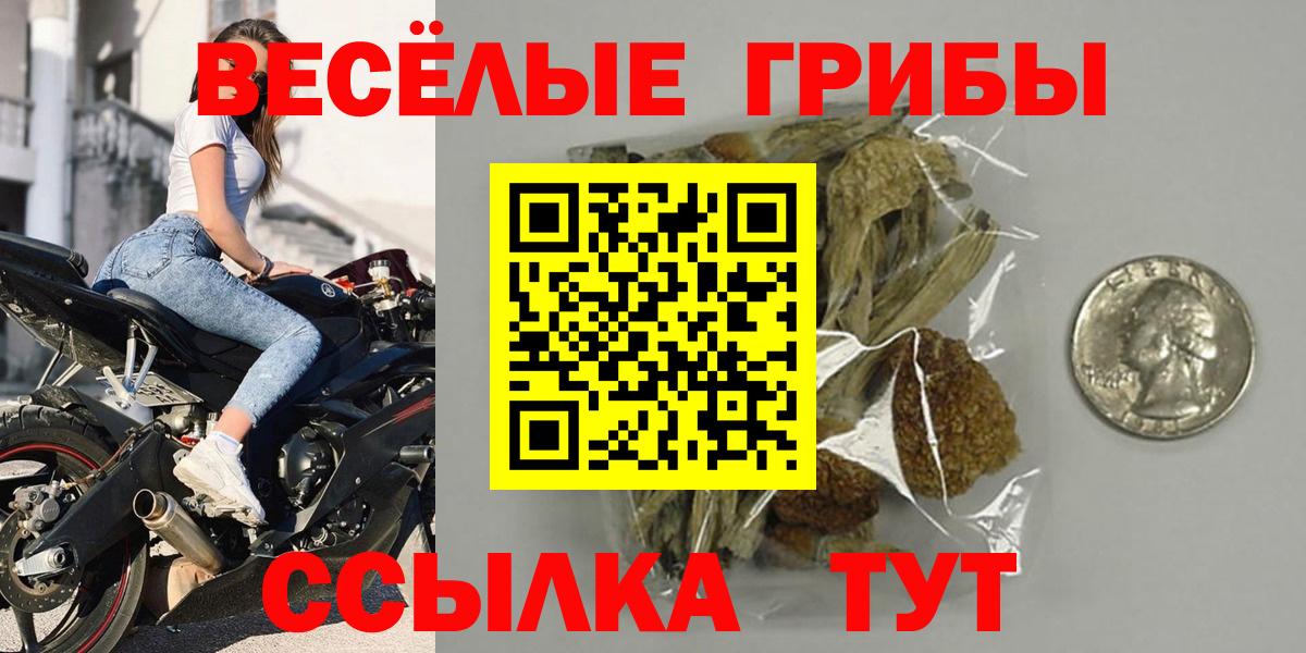 Большой Камень  Галлюциногенные грибы прущие грибы  Псилоцибиновые грибы Psilocybine cubensis  Вход с VPN 